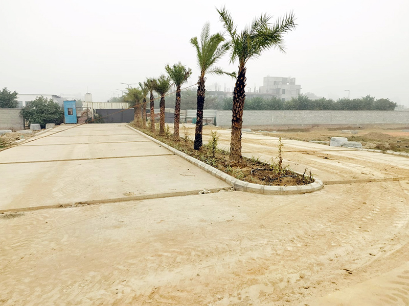Mapsko Sonipat Construction Update 2